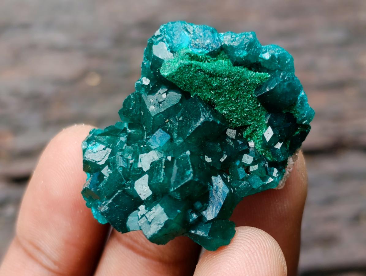 Natural Dioptase Specimens on Dolomite Matrix x 12 From Tantara Mine, Congo