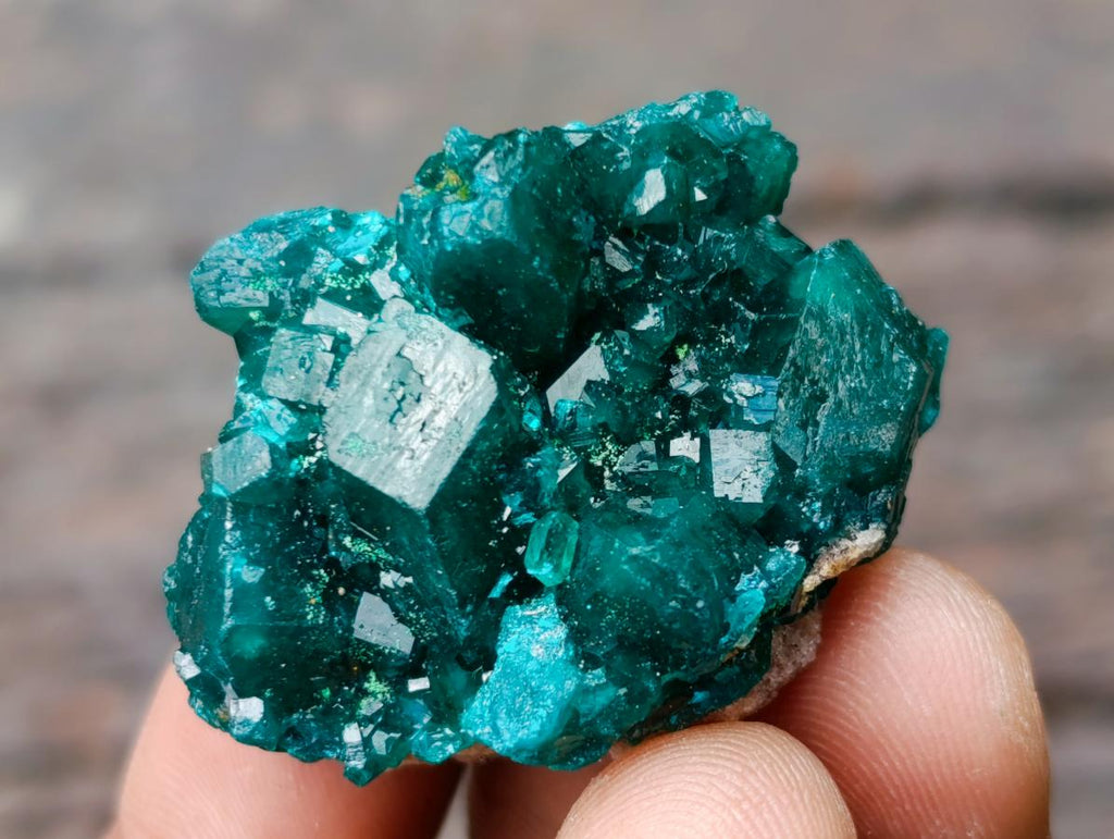 Natural Dioptase Specimens on Dolomite Matrix x 12 From Tantara Mine, Congo