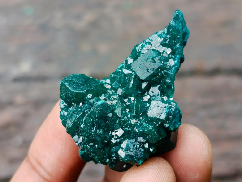 Natural Dioptase Specimens on Dolomite Matrix x 12 From Tantara Mine, Congo