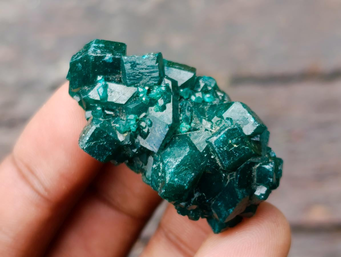 Natural Dioptase Specimens on Dolomite Matrix x 12 From Tantara Mine, Congo
