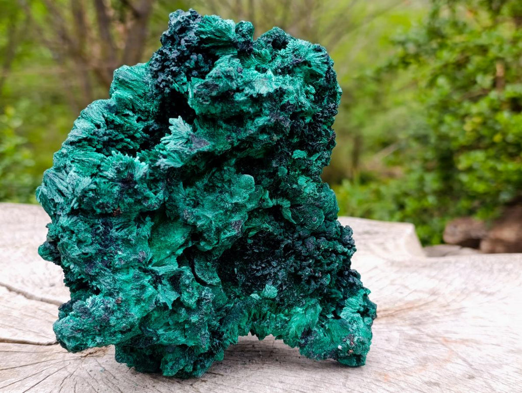 Natural Large Silky Malachite Specimen x 1 From Kasompe, Congo