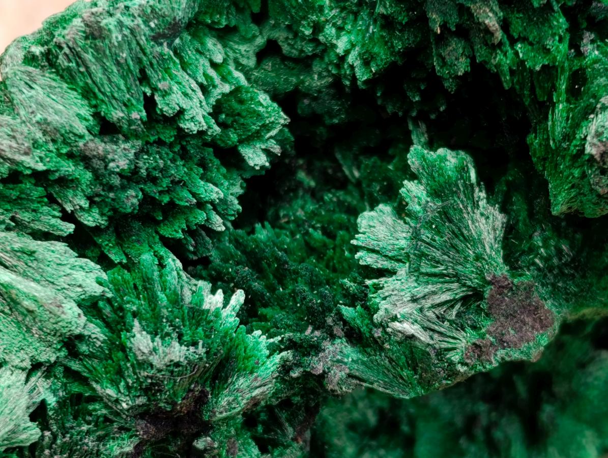 Natural Large Silky Malachite Specimen x 1 From Kasompe, Congo
