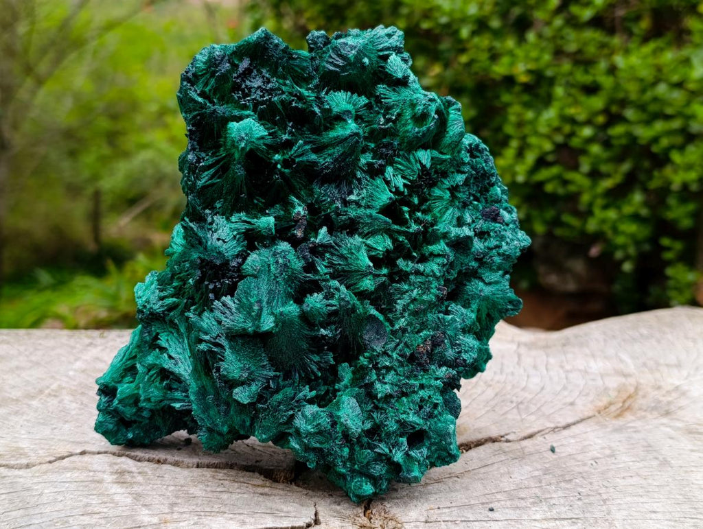 Natural Large Silky Malachite Specimen x 1 From Kasompe, Congo