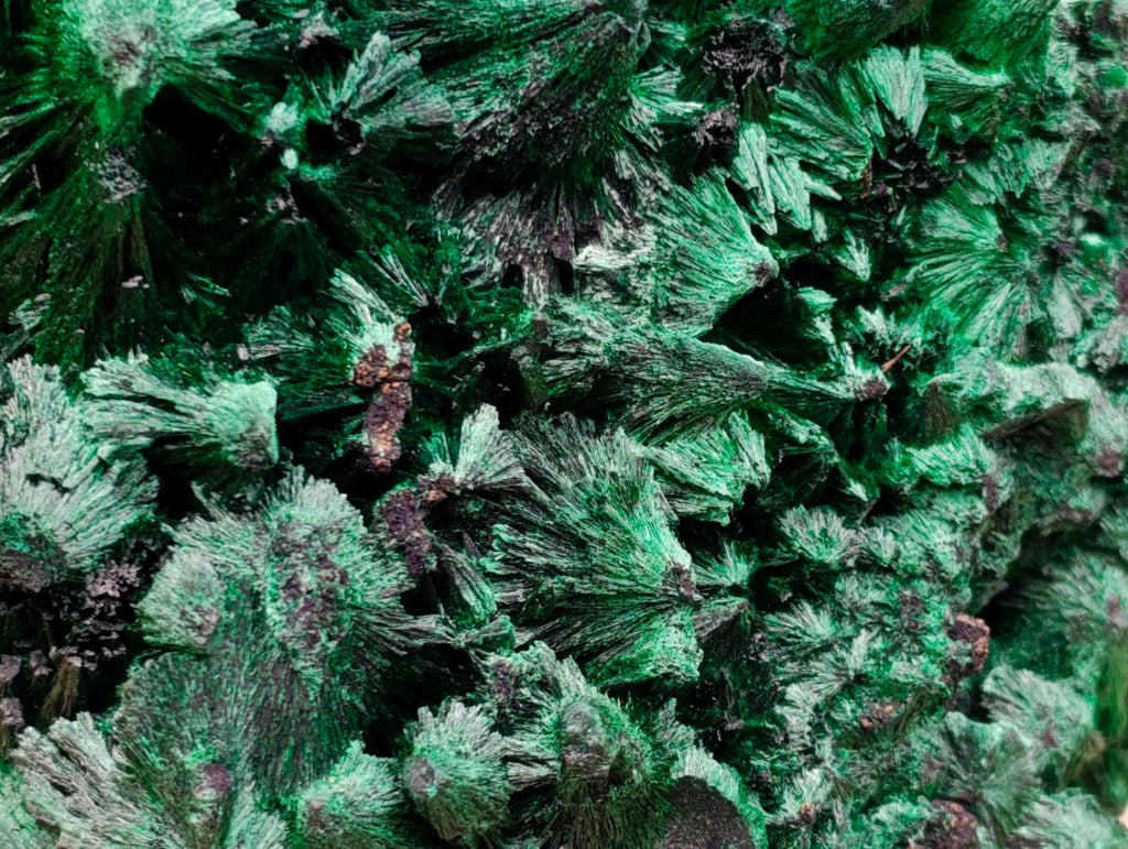 Natural Large Silky Malachite Specimen x 1 From Kasompe, Congo