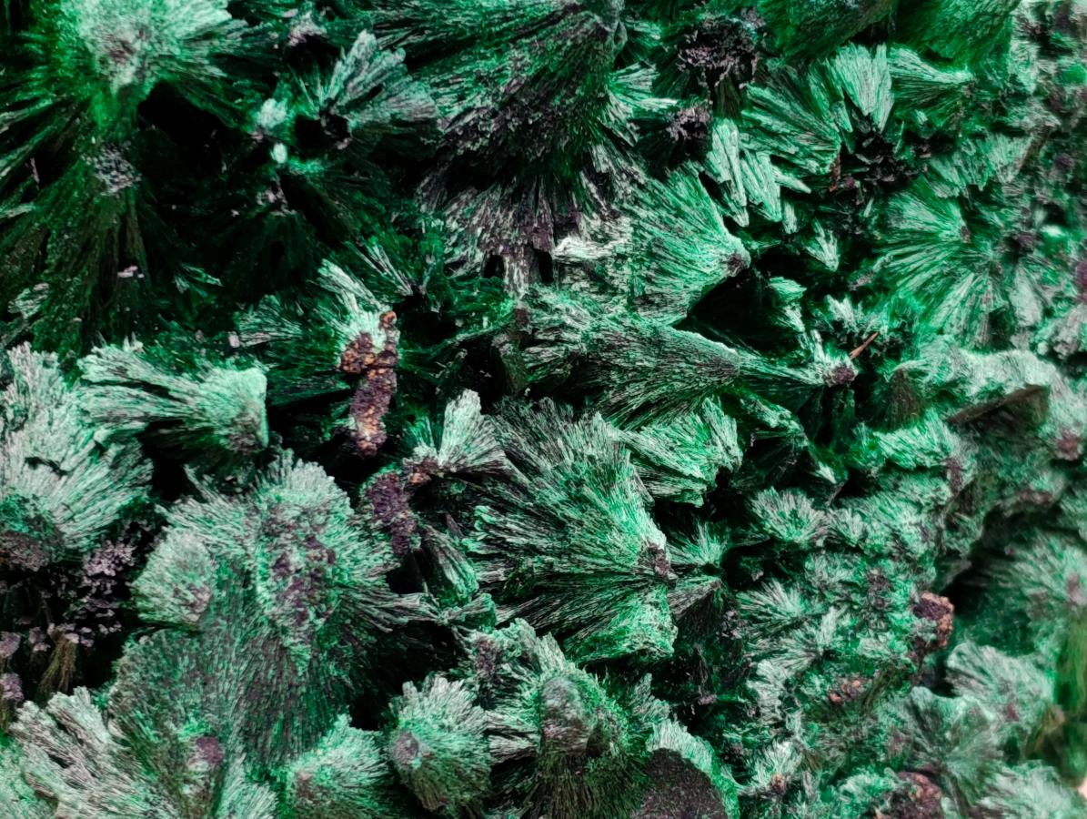Natural Large Silky Malachite Specimen x 1 From Kasompe, Congo