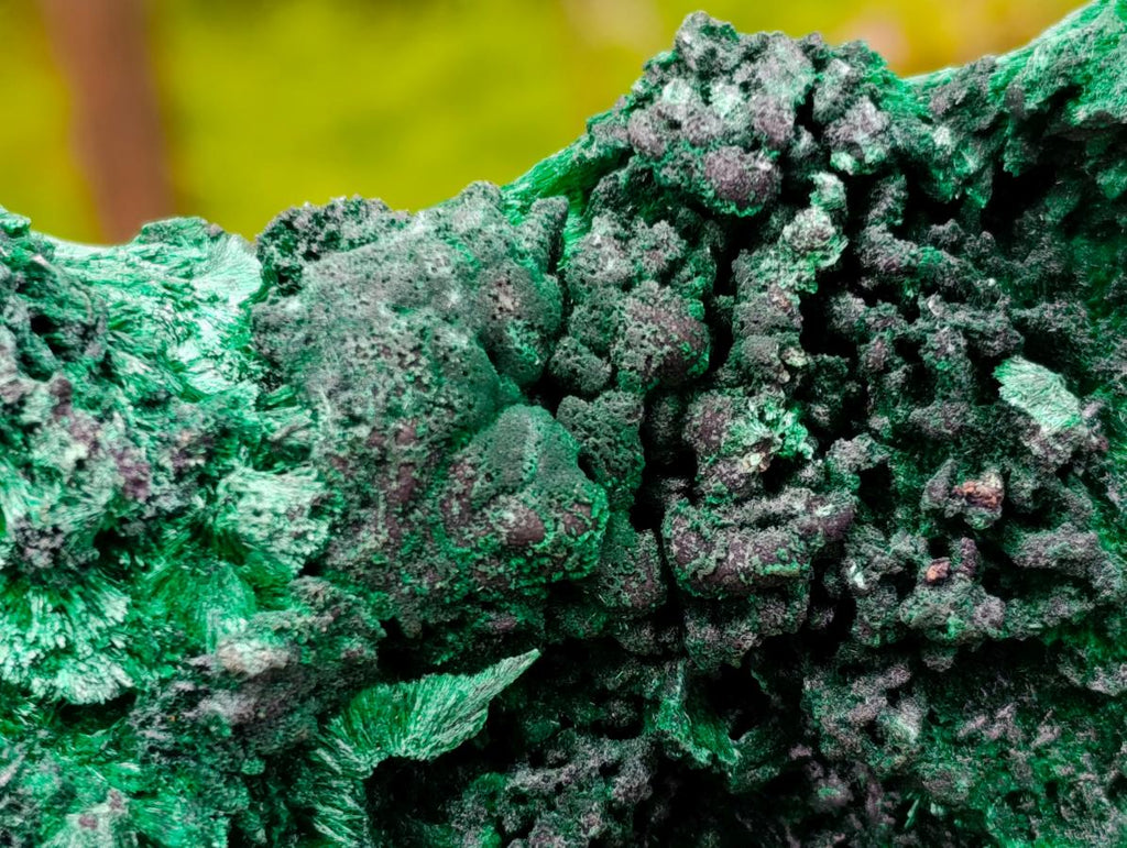 Natural Large Silky Malachite Specimen x 1 From Kasompe, Congo