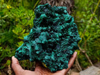 Natural Large Silky Malachite Specimen x 1 From Kasompe, Congo