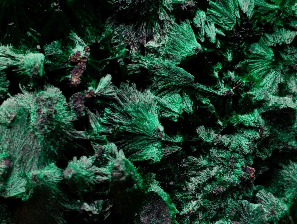 Natural Large Silky Malachite Specimen x 1 From Kasompe, Congo