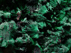 Natural Large Silky Malachite Specimen x 1 From Kasompe, Congo