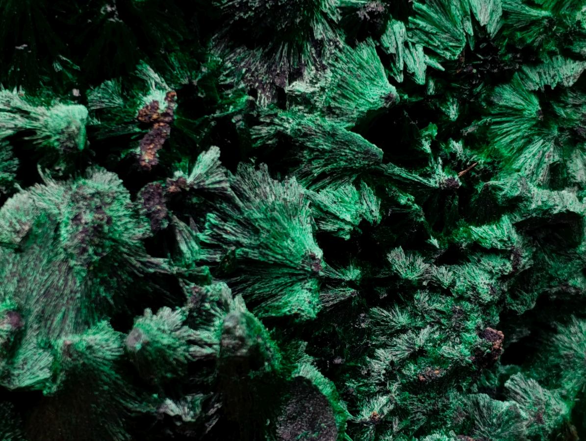 Natural Large Silky Malachite Specimen x 1 From Kasompe, Congo