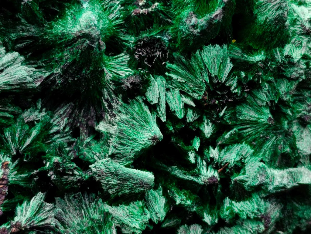 Natural Large Silky Malachite Specimen x 1 From Kasompe, Congo
