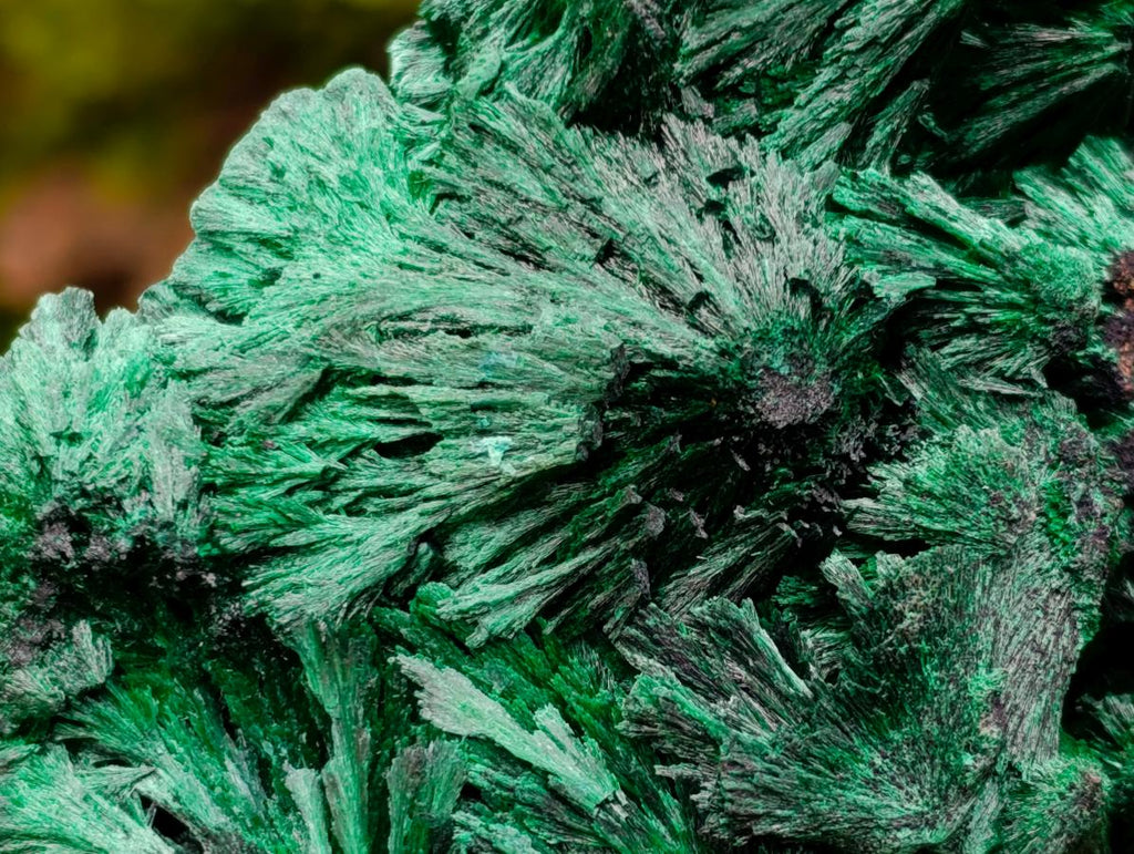 Natural Large Silky Malachite Specimen x 1 From Kasompe, Congo