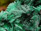 Natural Large Silky Malachite Specimen x 1 From Kasompe, Congo