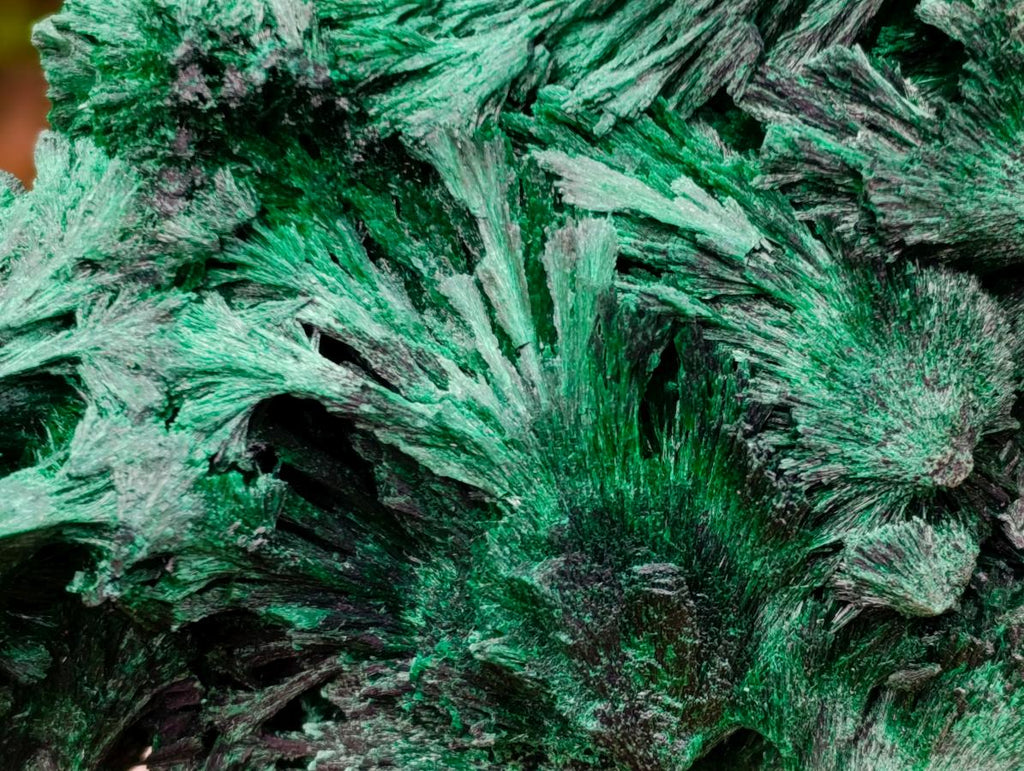 Natural Large Silky Malachite Specimen x 1 From Kasompe, Congo