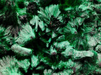 Natural Large Silky Malachite Specimen x 1 From Kasompe, Congo