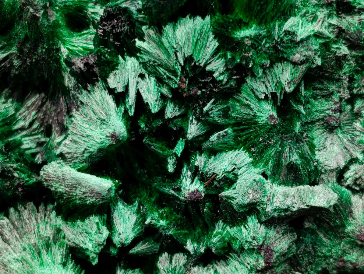 Natural Large Silky Malachite Specimen x 1 From Kasompe, Congo
