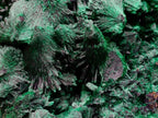 Natural Large Silky Malachite Specimen x 1 From Kasompe, Congo