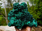 Natural Large Silky Malachite Specimen x 1 From Kasompe, Congo