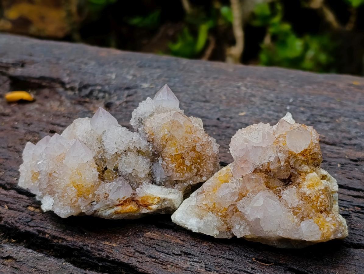 Natural Spirit Amethyst Clusters x 6 From Boekenhouthoek, South Africa