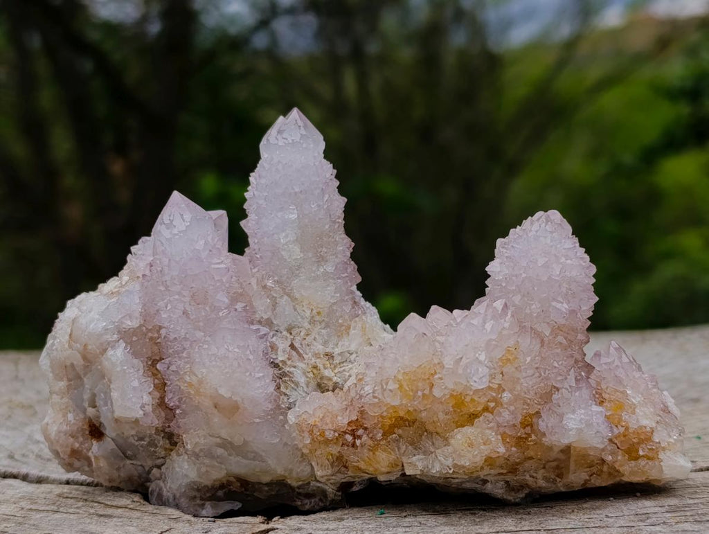 Natural Spirit Amethyst Clusters x 6 From Boekenhouthoek, South Africa