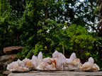 Natural Spirit Amethyst Clusters x 6 From Boekenhouthoek, South Africa