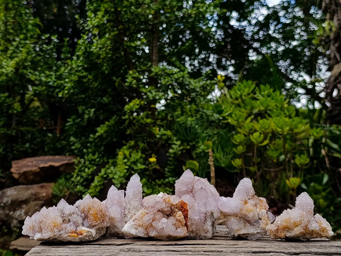 Natural Spirit Amethyst Clusters x 6 From Boekenhouthoek, South Africa