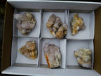 Natural Spirit Amethyst Clusters x 6 From Boekenhouthoek, South Africa