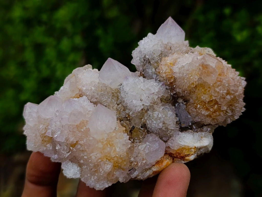 Natural Spirit Amethyst Clusters x 6 From Boekenhouthoek, South Africa