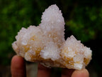Natural Spirit Amethyst Clusters x 6 From Boekenhouthoek, South Africa