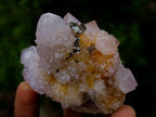 Natural Spirit Amethyst Clusters x 6 From Boekenhouthoek, South Africa