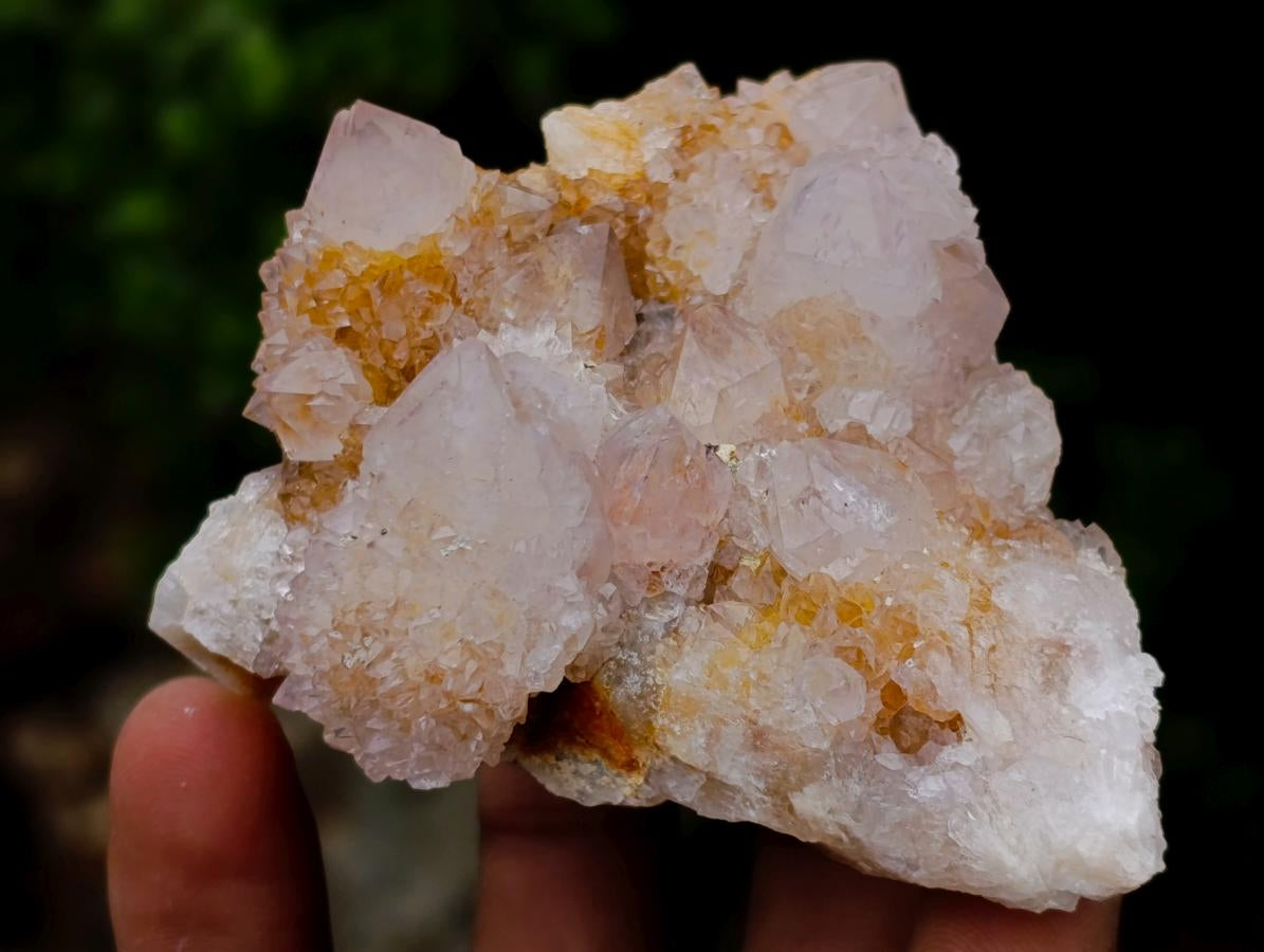 Natural Spirit Amethyst Clusters x 6 From Boekenhouthoek, South Africa