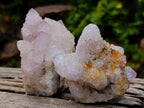 Natural Spirit Amethyst Clusters x 6 From Boekenhouthoek, South Africa