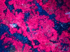 Polished Ruby Corundum In Chrome Verdite Free Forms x 6 From Mutoko, Zimbabwe