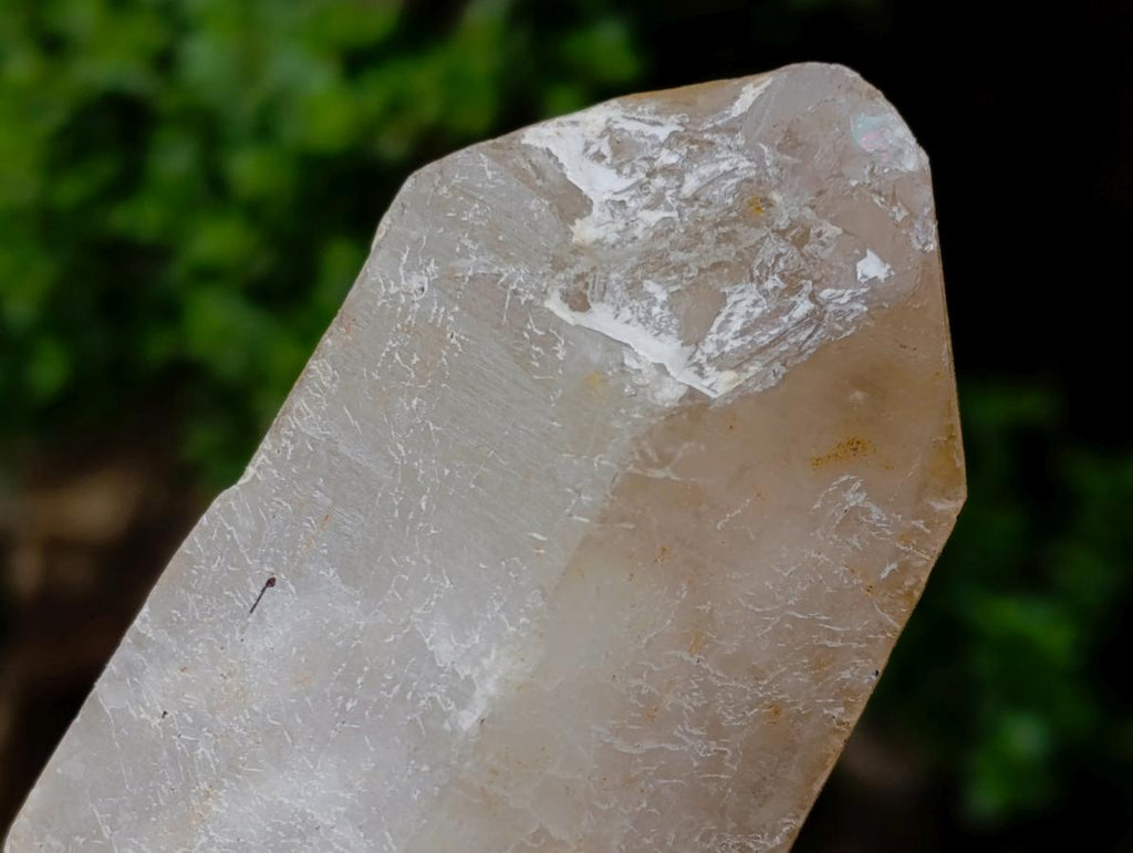 Natural Mix of Large Smokey Quartz Crystals x 5 From Southern Africa