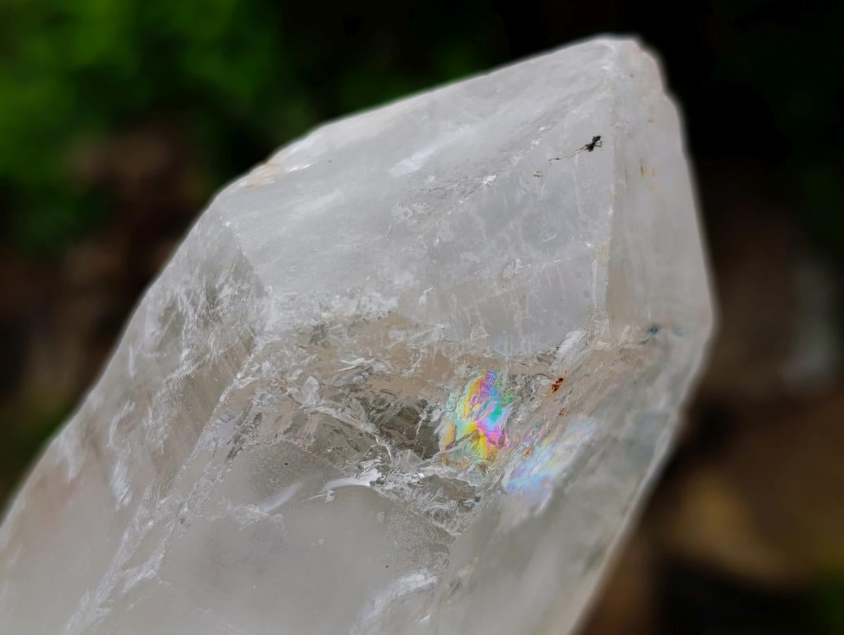 Natural Mix of Large Smokey Quartz Crystals x 5 From Southern Africa