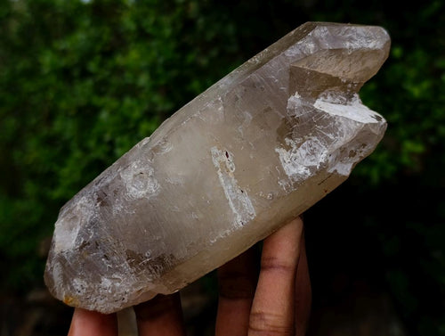 Natural Mix of Large Smokey Quartz Crystals x 5 From Southern Africa