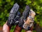 Natural Black Tourmaline Specimens in Quartz x 35 From Zambia