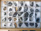 Natural Black Tourmaline Specimens in Quartz x 35 From Zambia