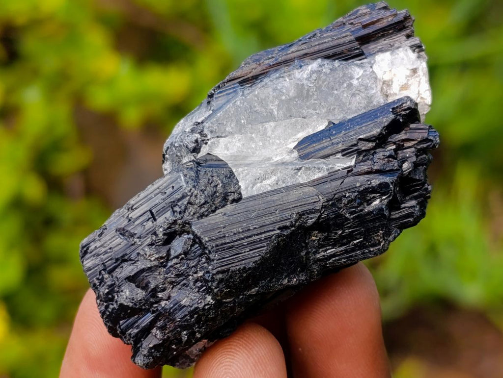 Natural Black Tourmaline Specimens in Quartz x 35 From Zambia
