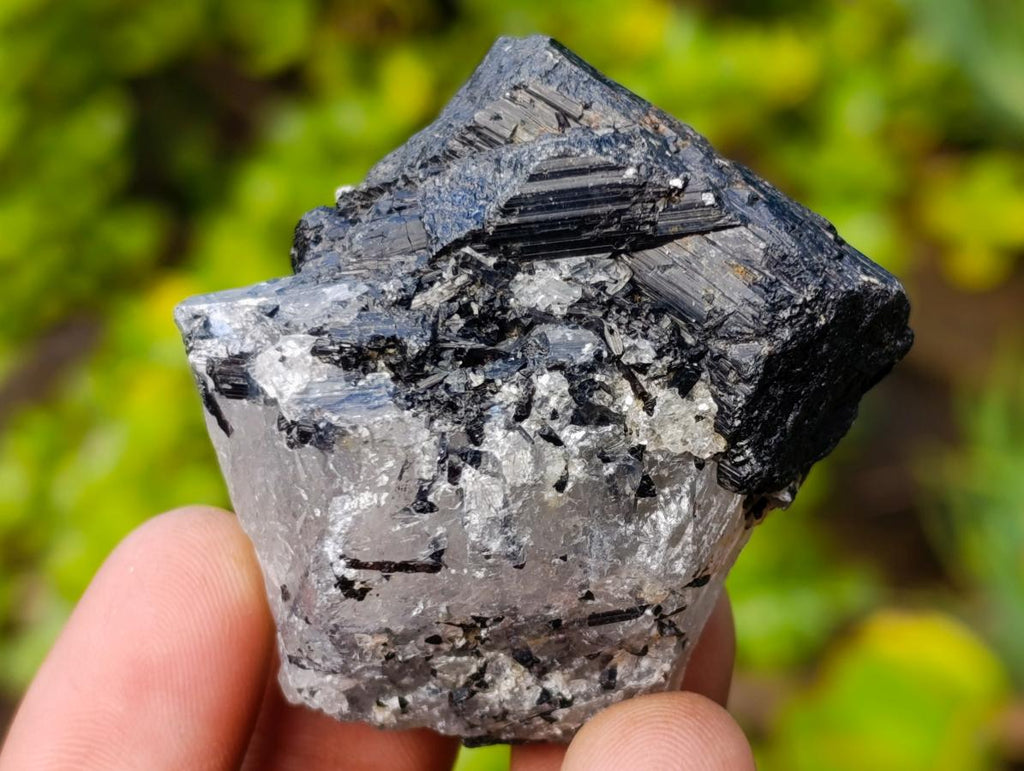Natural Black Tourmaline Specimens in Quartz x 35 From Zambia
