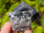 Natural Black Tourmaline Specimens in Quartz x 35 From Zambia
