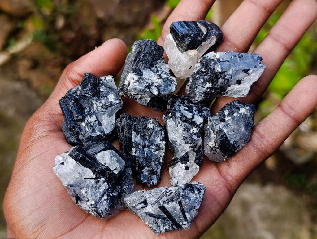 Natural Black Tourmaline Specimens in Quartz x 35 From Zambia