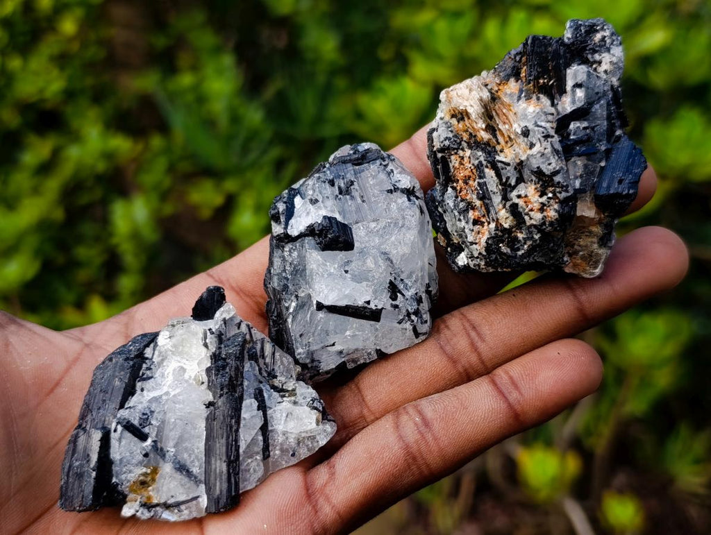 Natural Black Tourmaline Specimens in Quartz x 35 From Zambia