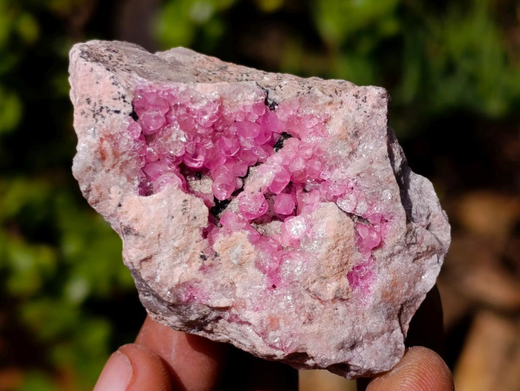 Natural Spherocobaltite Specimens x 12 From Mashamba West Mine, Congo