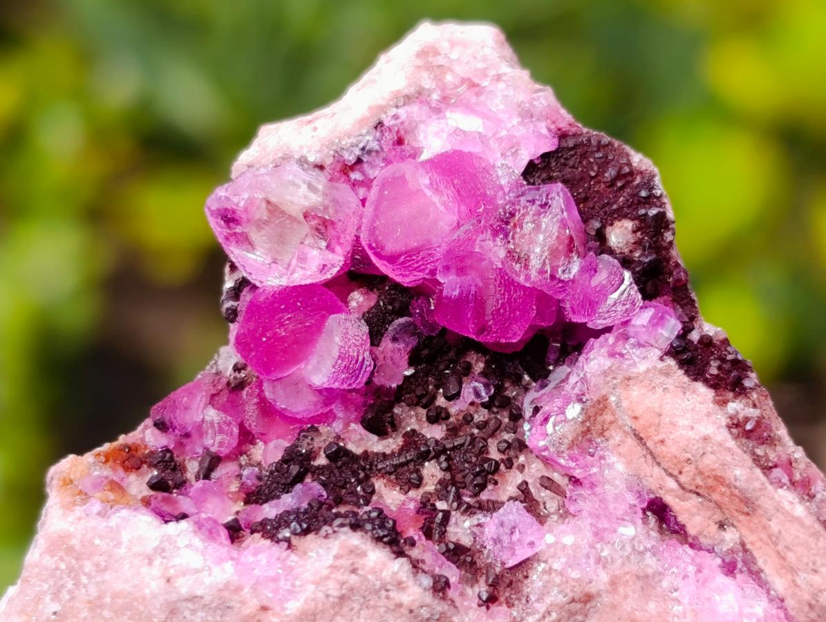 Natural Spherocobaltite Specimens x 12 From Mashamba West Mine, Congo