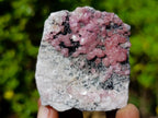 Natural Spherocobaltite Specimens x 12 From Mashamba West Mine, Congo