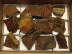 Natural Golden Tigers Eye Cobbed Specimens x 12 From Prieska, South Africa