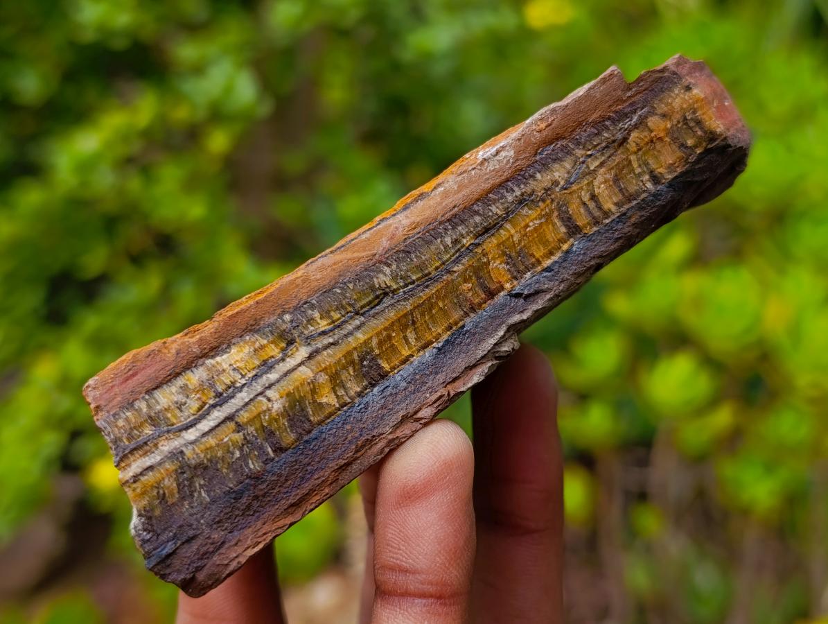 Natural Golden Tigers Eye Cobbed Specimens x 12 From Prieska, South Africa