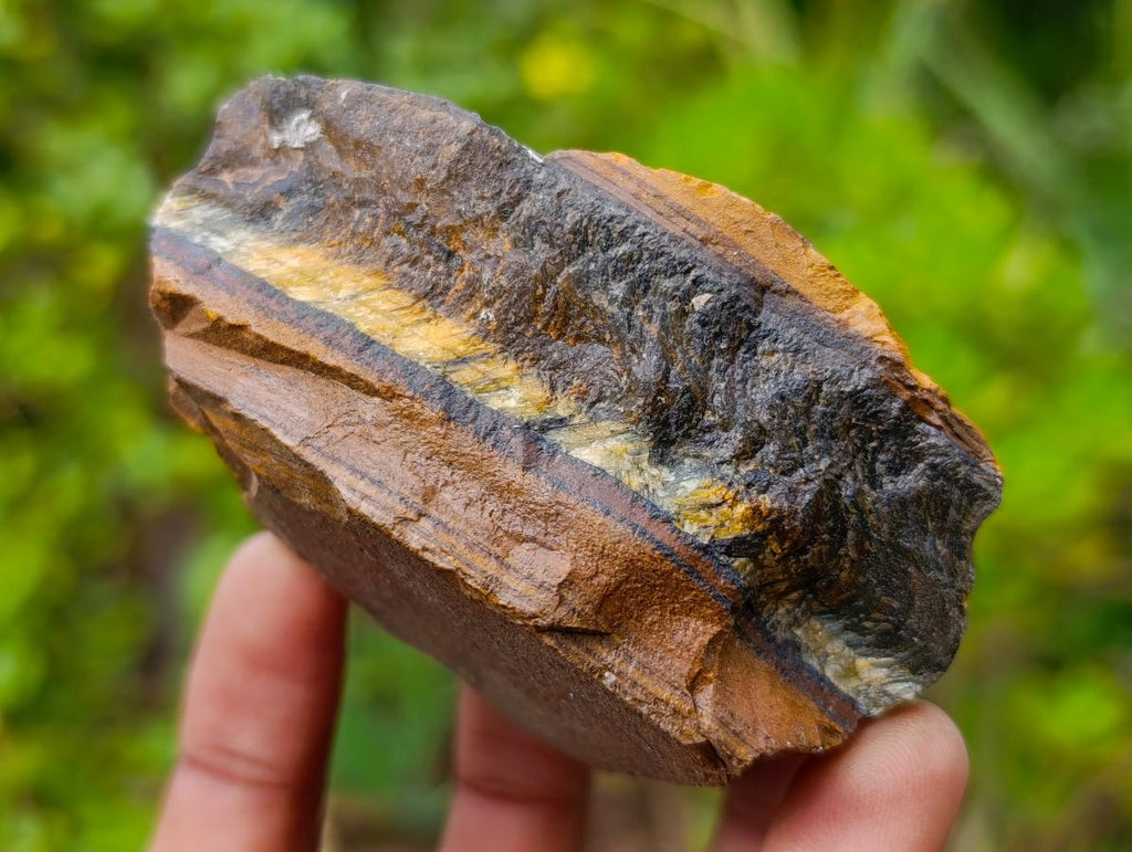 Natural Golden Tigers Eye Cobbed Specimens x 12 From Prieska, South Africa