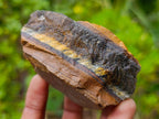 Natural Golden Tigers Eye Cobbed Specimens x 12 From Prieska, South Africa